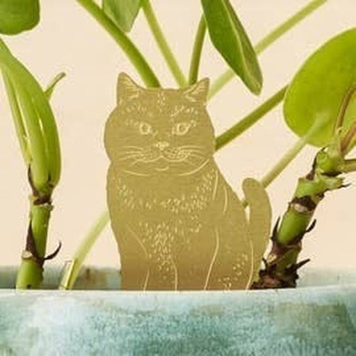 Planten Diertje Cat Krossproducts | De online winkel voor hebbedingetjes