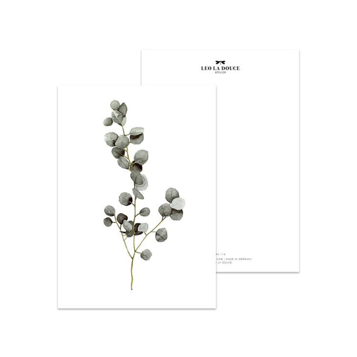 Ansichtkaart Eucalyptus | Zonder Envelop