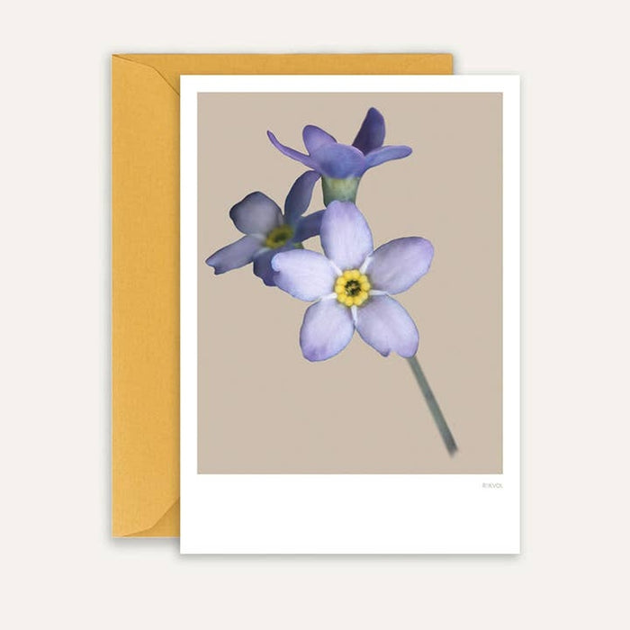 Kaart Forget-Me-Not 02 | Beige