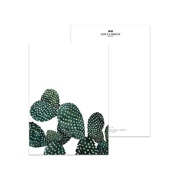 Ansichtkaart Cactus Family | Zonder Envelop