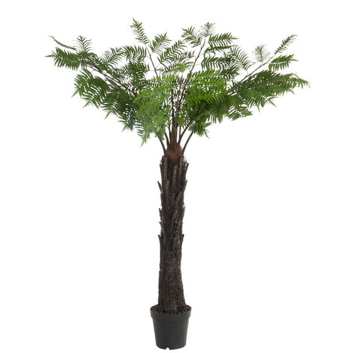 J-Line Palmboon In Pot | Plastic Groen/Bruin | 150x150x190cm Krossproducts | De online winkel voor hebbedingetjes