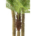 J-Line Palmboom 3D In Pot | Plastic Groen | 175x180x300cm Krossproducts | De online winkel voor hebbedingetjes