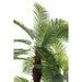 J-Line Palmboom 3D In Pot | Plastic Groen | 175x180x300cm Krossproducts | De online winkel voor hebbedingetjes