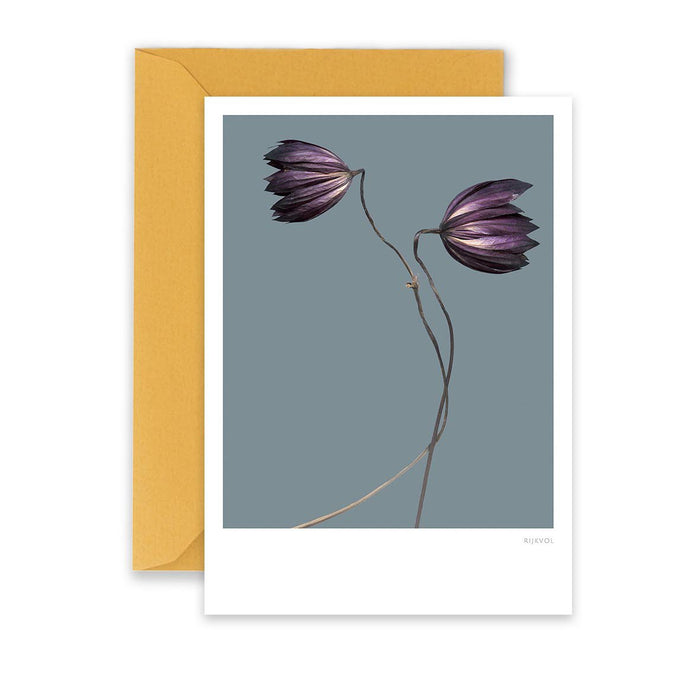 Kaart Purple Flower 01