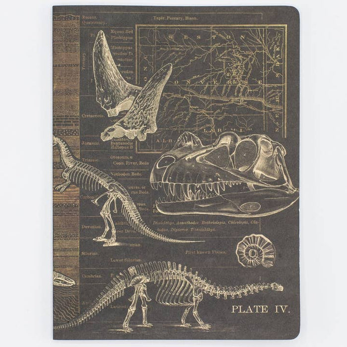 Dinosaurus Softcover Notebook