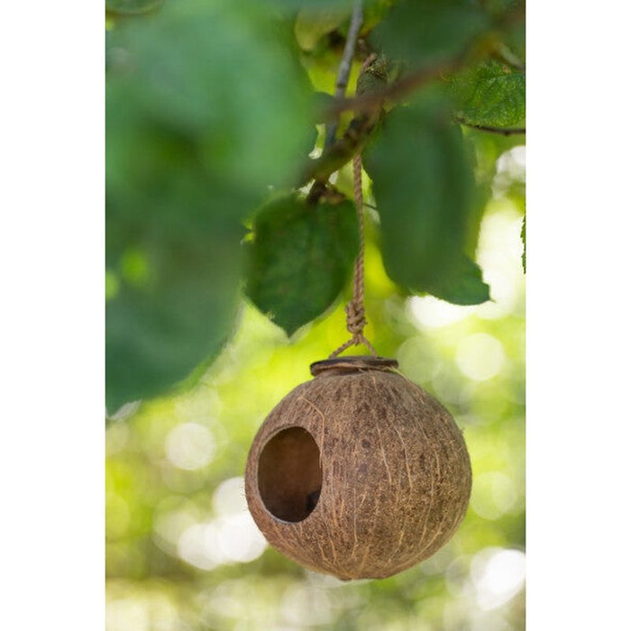 J-Line Vogelhuisje Kokosnoot Bruin Naturel Small Krossproducts | De online winkel voor hebbedingetjes