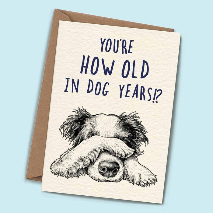 Kaart You're How Old In Dog Years Krossproducts | De online winkel voor hebbedingetjes