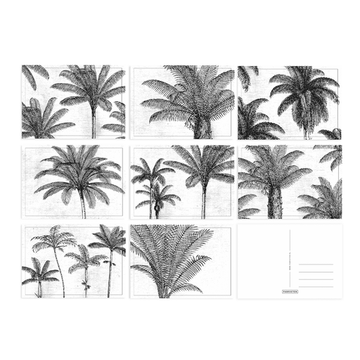 Kaartenset Palmbomen A6 - 8 Stuks Krossproducts | De online winkel voor hebbedingetjes