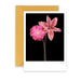 Kaart Black Edition Flower Collab 01 Krossproducts | De online winkel voor hebbedingetjes
