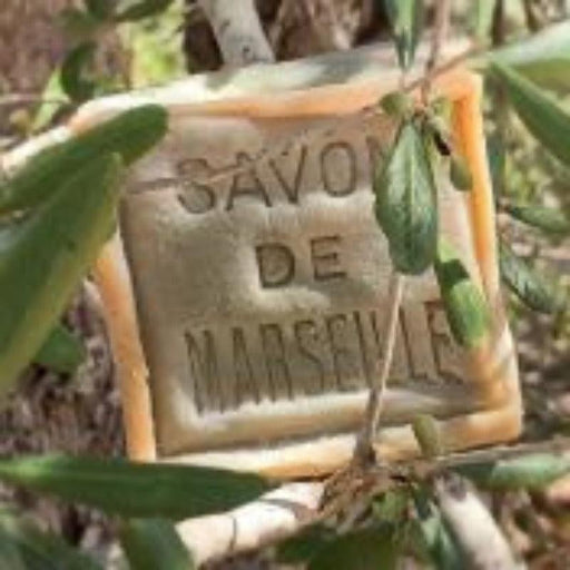 Chamarrel | zeep de Marseille Olive extra puur 72% cube | Krossproducts | De online winkel voor hebbedingetjes