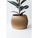 COPO Design | Bloempot Billon M | Gerecycled hout | Beige | 11cm Krossproducts | De online winkel voor hebbedingetjes