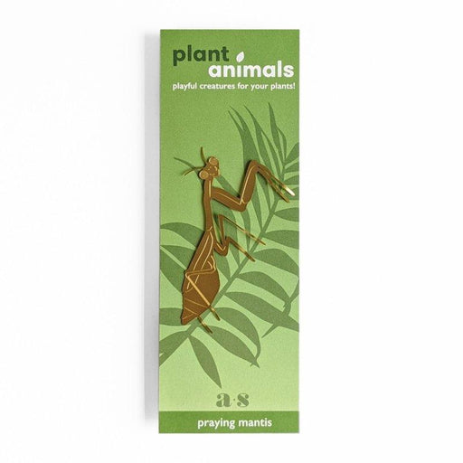 Planten diertje bidsprinkhaan Krossproducts | De online winkel voor hebbedingetjes