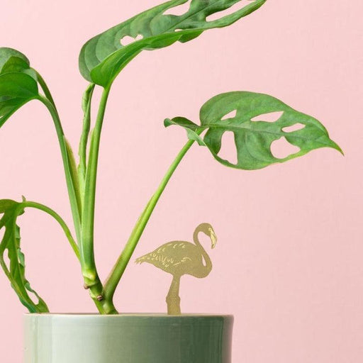 Planten Diertje Flamingo Krossproducts | De online winkel voor hebbedingetjes
