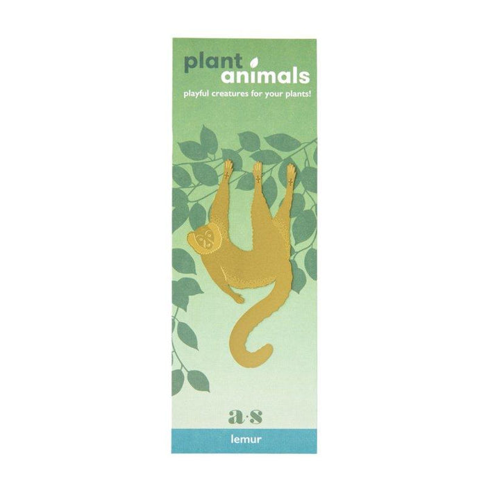 Planten diertje Maki/Lemur Krossproducts | De online winkel voor hebbedingetjes