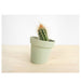 Studio Lorier Distorted Flowerpot | Green Krossproducts | De online winkel voor hebbedingetjes