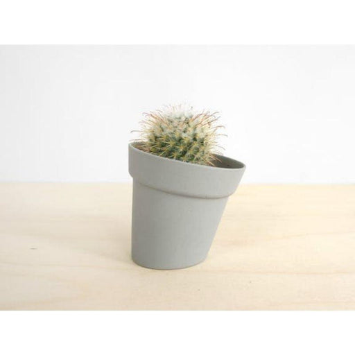 Studio Lorier Distorted Flowerpot | Grey | Medium Krossproducts | De online winkel voor hebbedingetjes