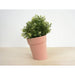 Studio Lorier Distorted Flowerpot | Pink | Large Krossproducts | De online winkel voor hebbedingetjes